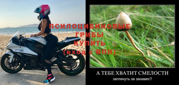 каннабис Магас